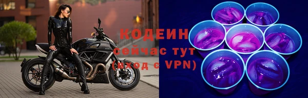 МДПВ Лагань