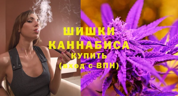 МДПВ Лагань