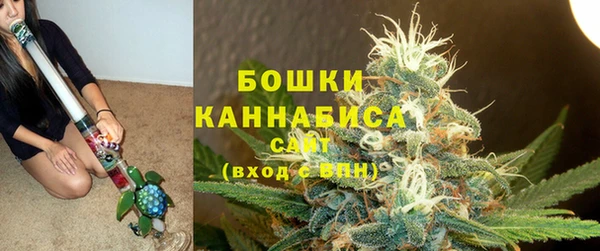 МДПВ Лагань