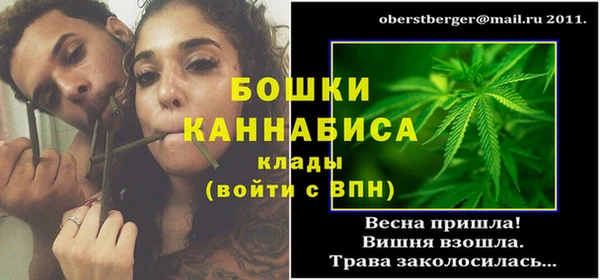 МДПВ Лагань